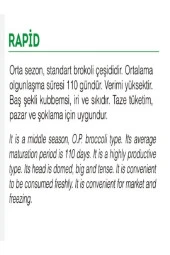 AGRODAL TARIM Yerli Doğal Brokoli Çeşit Rapid 100 Adet Sebze Tohumu thumbnail 2