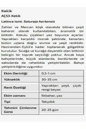 AGRODAL TARIM Anadolu Dağ Kekiği Kekik Çiçeği Tohumu - 2