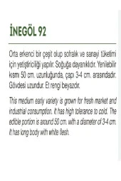 AGRODAL TARIM Ata Tohumu Yerli Doğal Pırasa Inegöl 1000 Adet Tohum thumbnail 2