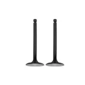 Subap Emme ve Egzoz Takım DİZEL 186F 10Hp - 1