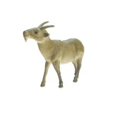 Çiftlik Hayvanları Seti 6lı -828-16 - 3