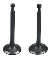 Subap Emme ve Egzoz Takım 2Hp 152F - 1