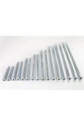 Buldex Vida 100 Adet - 1