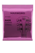 Maxword GT-Bass Kaliteli Bas Gitar Teli 1 Takım Set thumbnail 1