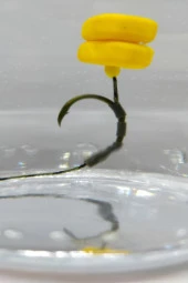 SR SazanRig Yüzen Çift Mısırlı Hazır Rig Takımı ( 5 Li Set) thumbnail 5