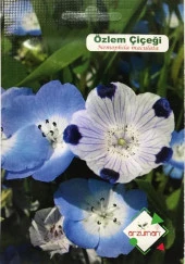 ÖZLEM ÇİÇEĞİ TOHUMU 50 ADET TOHUM - 1