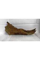 Doğal Akvaryum Dekoru Mangrov Kökü ( 37x16 Cm) - 1