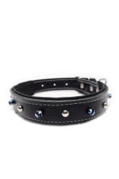 VOLMİN PETSHOP Köpek Deri Boyun Tasması 3.5 x 55 cm - 2
