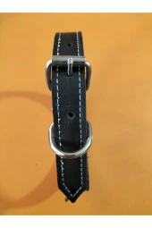45 Cm Şık Köpek Tasma - 1