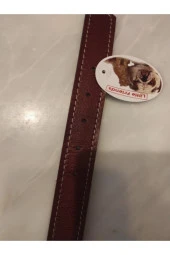 Deri Köpek Boyun Tasması - 2