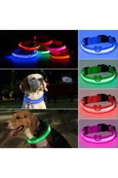 Kedi Köpek Led Işıklı Boyun Tasması, Ayarlanabilir Boyun Tasması - 1