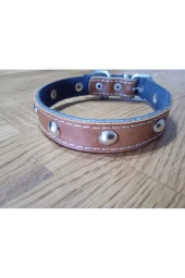 Aksesuarlı Metal Detaylı Deri Kedi Köpek Tasması - 1