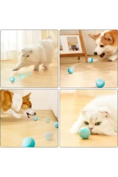 İnteraktif Kedi Köpek Şarjlı Oyun Topu - 1