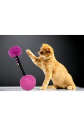 Hacıyatmaz Kedi Oyuncağı - Pembe - 1