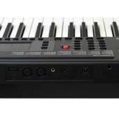 Org Manuel Raymond MRK6125P - 1