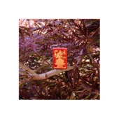 Zippo Çakmak 49517 Eastern Design - 2