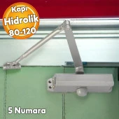 Çelik Kapı Hidroliği Kapı Durdurucu Yavaşlatıcı Yayı No: 5 Kapasite 80-120 Kilogram Gümüş Renk thumbnail 1