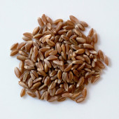 Kappadokia, Atalık Kızılbuğday (Dinkel) Unu - 6x1 Kg - 2