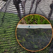 1,5x7 METRE SİYAH KUŞ FİLESİ BALKON PERDESİ HAZIR KOPÇALI KEDİ KORUMA AĞI DOLU FİLESİ MİSİNA FİLE KUŞ ÖNLEME FİLESİ BALKON KORUMA AĞI thumbnail 1