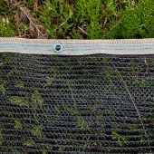 1x12 SİYAH KUŞ FİLESİ BALKON PERDESİ HAZIR KOPÇALI KEDİ KORUMA AĞI DOLU FİLESİ MİSİNA FİLE KUŞ ÖNLEME FİLESİ BALKON KORUMA AĞI thumbnail 2