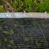 1,5x17 SİYAH KUŞ FİLESİ BALKON PERDESİ HAZIR KOPÇALI VE KORNİŞ DÜĞMELİ KEDİ KORUMA AĞI DOLU FİLESİ MİSİNA FİLE KUŞ ÖNLEME FİLESİ BALKON KORUMA AĞI thumbnail 2