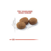 Royal Canin Sterilised 37 Kısırlaştırılmış Yetişkin Kedi Maması 4 Kg - 2