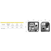 Garden Pro Wp-40Cı Yüksek Basınçlı Döküm Su Motoru 60 Mt-90 Ton/Saat - 2