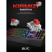 Blic Bkb5 Red Switch Kablolu Türkçe Q Gaming Rgb Oyuncu Mekanik Klavye - 4