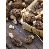 Kuzu Göbeği Mantarı  Miseli Mantar Miseli Tohumu 30cc thumbnail 3