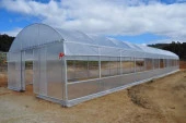 Aletçantam Naylon Branda 4mt² (En:2mt x Boy:2mt) Şeffaf Eşya Sera Örtüsü 140mic - 2
