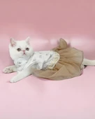 Sun Cream Duo Tütülü Kedi Elbisesi, Kıyafeti Tutu thumbnail 6