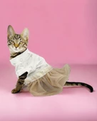 Sun Cream Duo Tütülü Kedi Elbisesi, Kıyafeti Tutu thumbnail 1