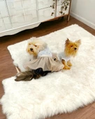 Sun Cream Duo Tütülü Köpek Elbisesi, Kıyafeti Tutu - 4