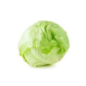 Agrokar Iceberg Marul 5Gr - 1