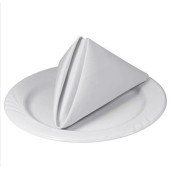100% Pamuklu Gabardin Mutfak Otel Servis Peçetesi 2Adet 51 x 51 cm. - 3