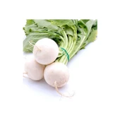 Bursa Tohum Bt Burbeyaz Beyaz Turp 25Gr - 1