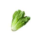 Bursa Tohum Yedikule 5701 Marul 25Gr 5 Paket - 1