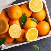 Yarı Bodur Tüplü Washıngton Portakal Fidanı thumbnail 1