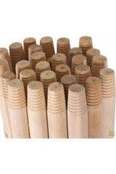 Fırça Sapı - 1