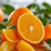 3 Yaş Fukumoto Portakal Fidanı, Tüplü ve Soğuğa Dayanıklıdır thumbnail 2