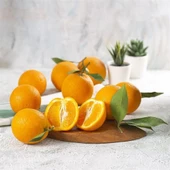 Valencia Portakal Fidanı (Tüplü, Meyve Verir Durumda) thumbnail 2