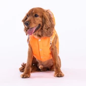 PawStar Neon Turuncu Railway Küçük ve Orta Irk Yelek - 3