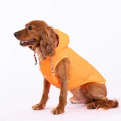 PawStar Neon Turuncu Railway Küçük ve Orta Irk Yelek - 2