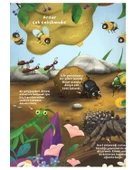 Ne Sorsan Bilir Minik Böcekler thumbnail 2