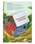 Ne Sorsan Bilir Minik Böcekler thumbnail 3