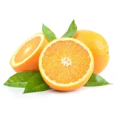 3 Yaş Tüplü Washington Portakal Fidanı thumbnail 1