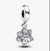 Pandora 792247C01 - Işıltılı Pati İzi Sallantılı Charm thumbnail 1