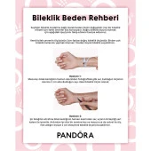 Pandora 590723CZ 17cm-Moments Gümüş Pavé Klipsli Bileklik - 6