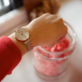 EMPORIO ARMANI AR1683 Kadın Kol Saati thumbnail 4