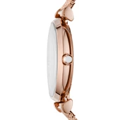 Emporio Armani AR11320 Kadın Kol Saati thumbnail 2